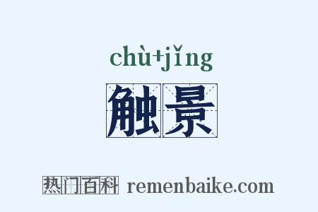 触景是什么意思的图片